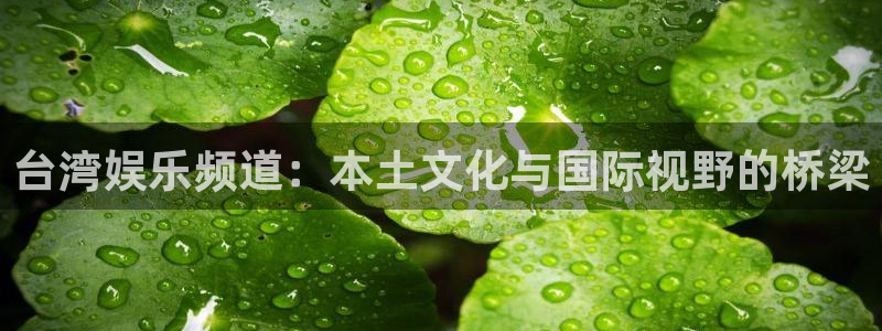 南宫大舞台官网入口：台湾娱乐频道：本土文化与国际视野的桥梁