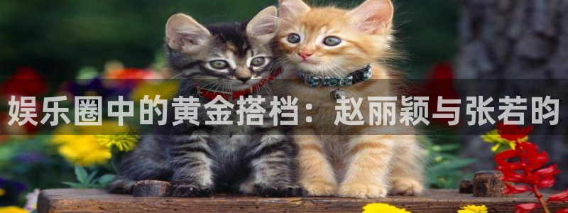 南宫大舞台：娱乐圈中的黄金搭档：赵丽颖与张若昀
