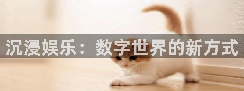 南宫大舞台官网入口：沉浸娱乐：数字世界的新方式