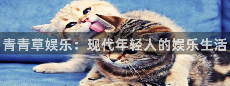 南宫大舞台官网入口：青青草娱乐：现代年轻人的娱乐生活