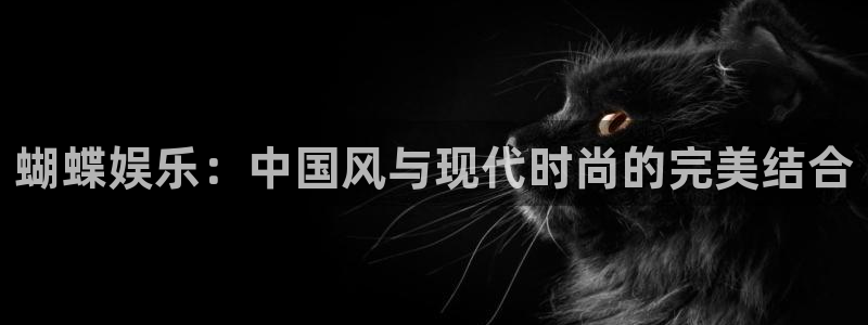 NG大舞台：蝴蝶娱乐：中国风与现代时尚的完美结合