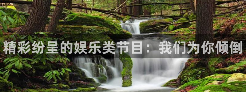 南宫大舞台官网入口：精彩纷呈的娱乐类节目：我们为你倾倒