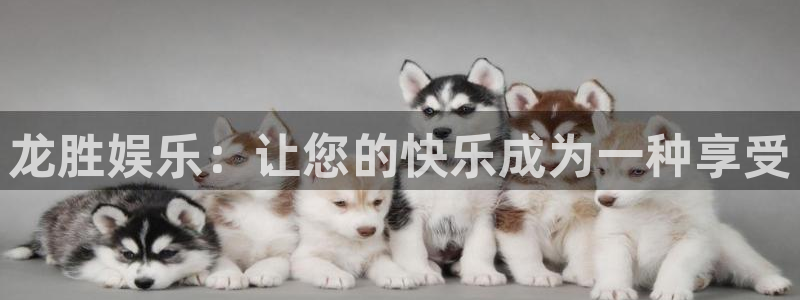 南宫大舞台：龙胜娱乐：让您的快乐成为一种享受