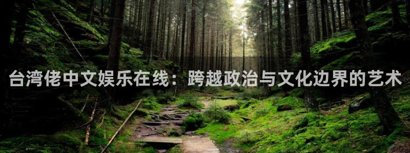 南宫大舞台官网入口：台湾佬中文娱乐在线：跨越政治与文化边界的艺术