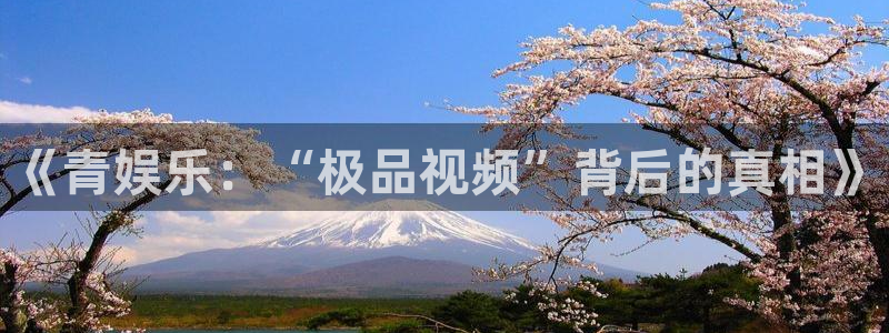 南宫大舞台：《青娱乐：“极品视频”背后的真相》